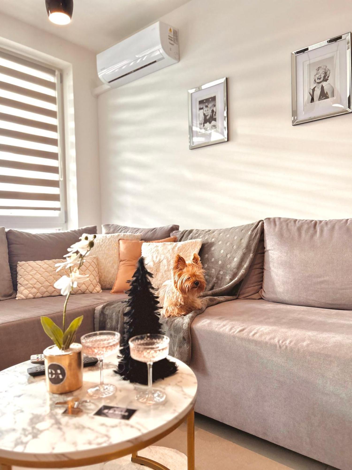 Apartamento Downtown Family&friends Rzeszów