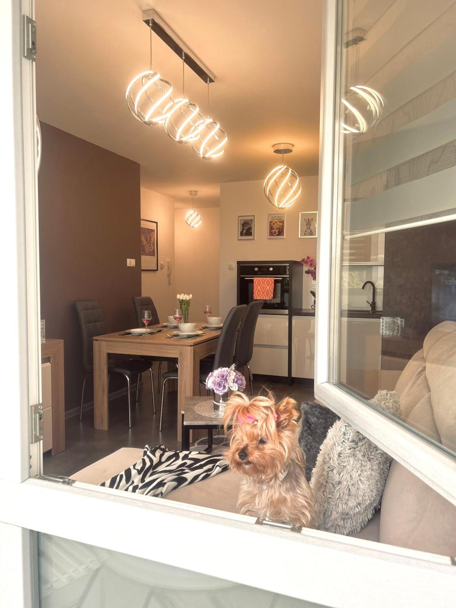 Apartamento Downtown Family&friends
